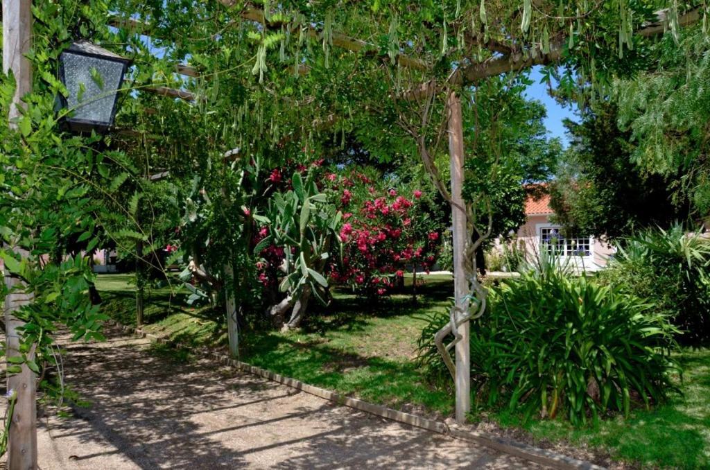 Penzion Casa Da Avo Genoveva Tomar Exteriér fotografie